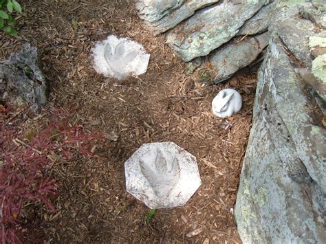 Jurassic Path: Making Stepping Stones Med Dinosaur Prints!